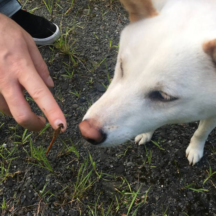 361d2469 b2d8 48df 878c b87c68d1bed7 1566466251558