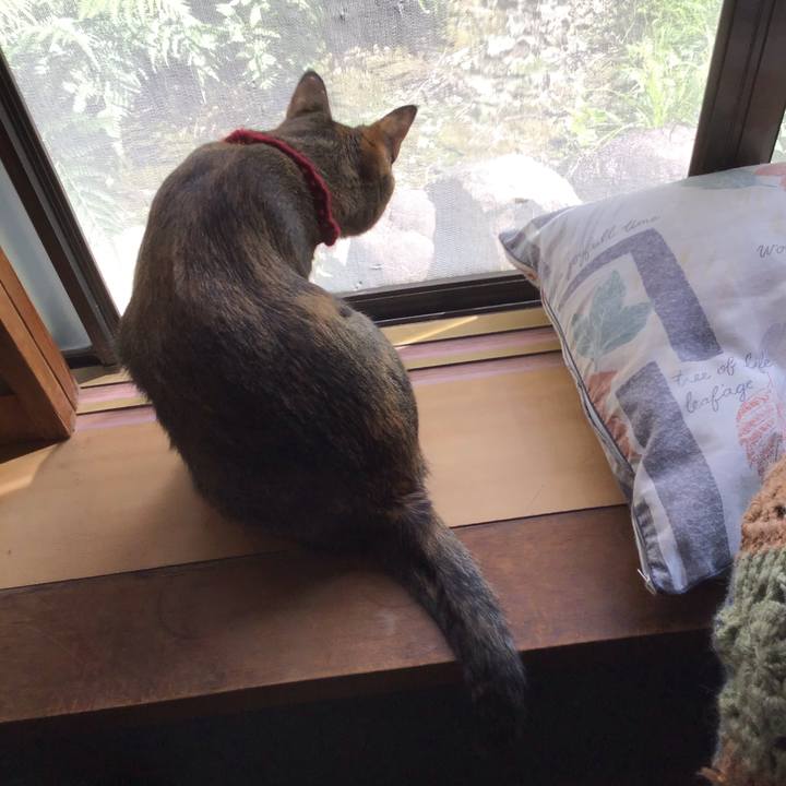 361d5678 0867 457a 9552 035bb598f938 1600739784330