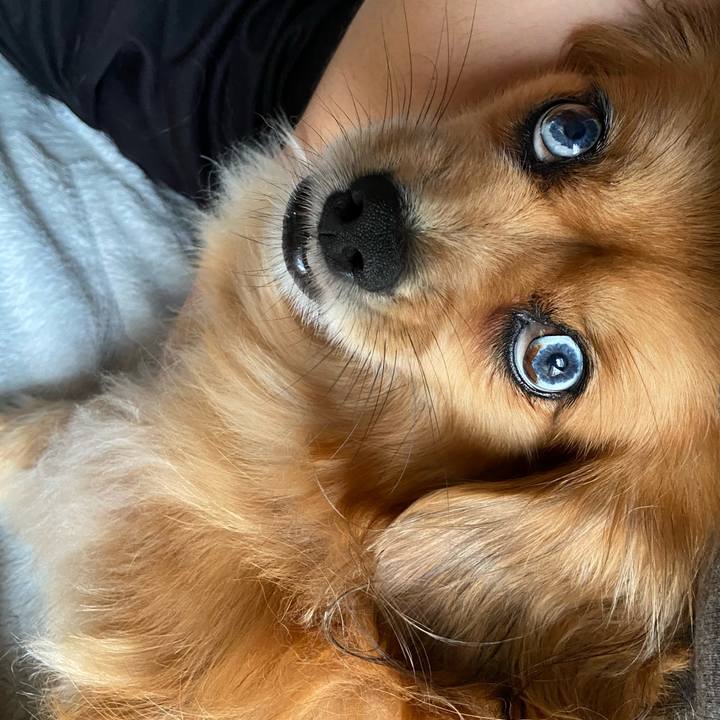 361d7a1c f23a 452b 9d78 345e7ee612bd 1594851084101