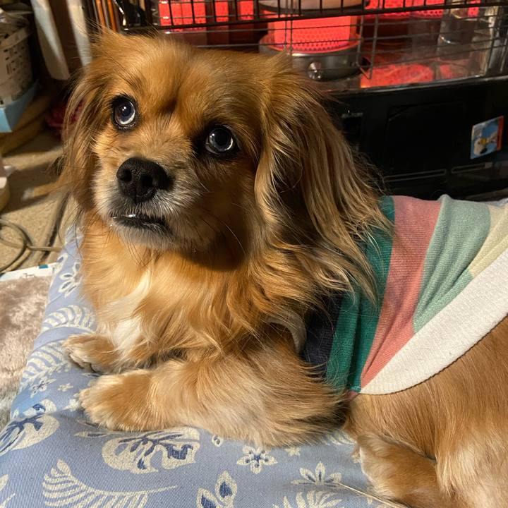 361d883b ae8b 4614 93fd 0f615f90e16a 1612819909671