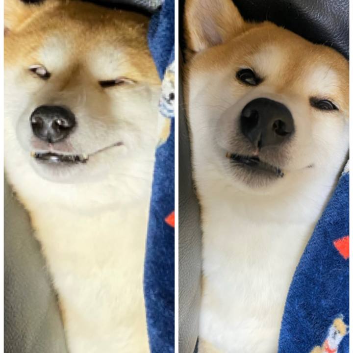 361d9129 b10b 4dd1 bdc4 a3a24057ba22 1611991388053