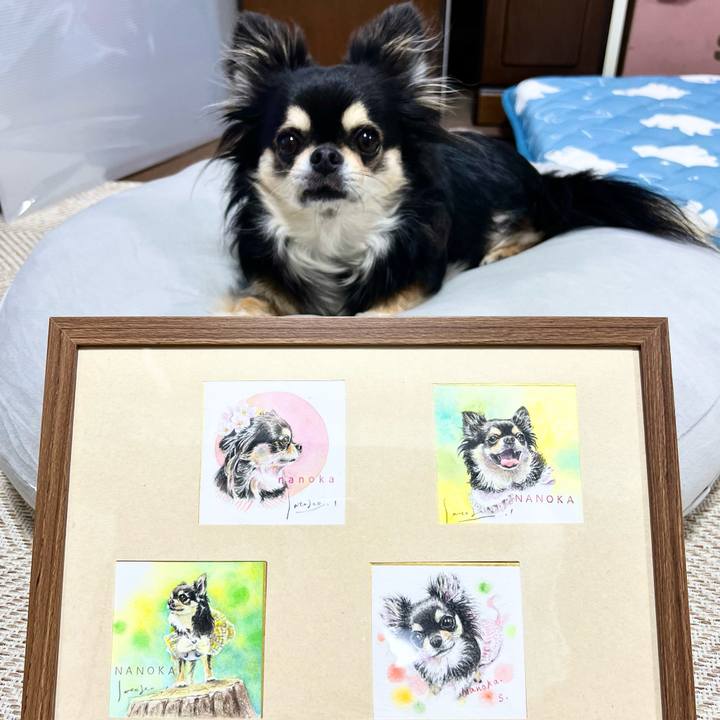 361d9be1 8206 40d4 8a2f 3a183c22cef2 1686176615582