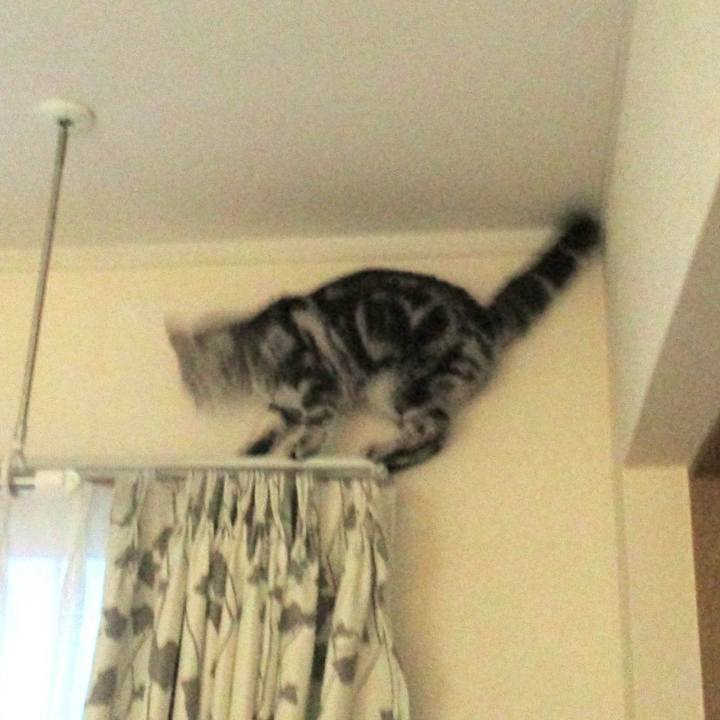 361d9d0c 893b 4dc1 af8b 72d2fd177052 1563963854809