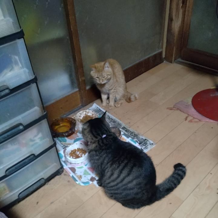 361db231 3550 4b9b ae46 3040bd06e4fb 1667771219889