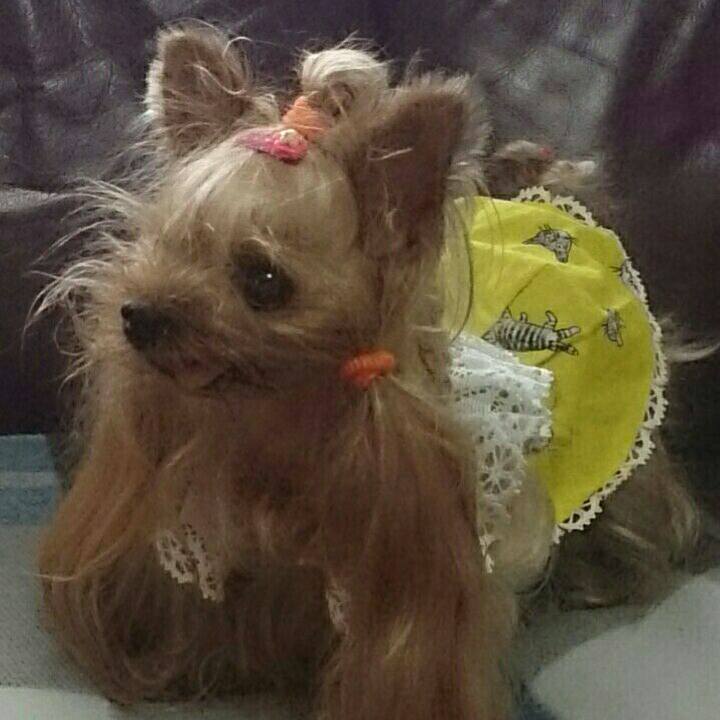 361e108b 416f 460f 9bf7 92001d35de16 1529241078213