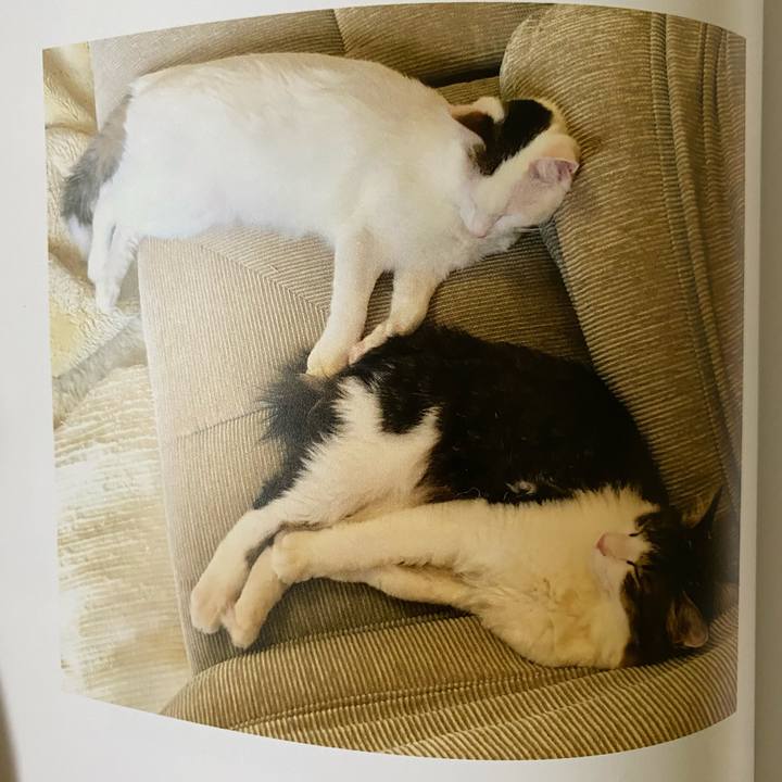 361e186d 162f 47e0 bf1e 3c1921d09014 1663201712730