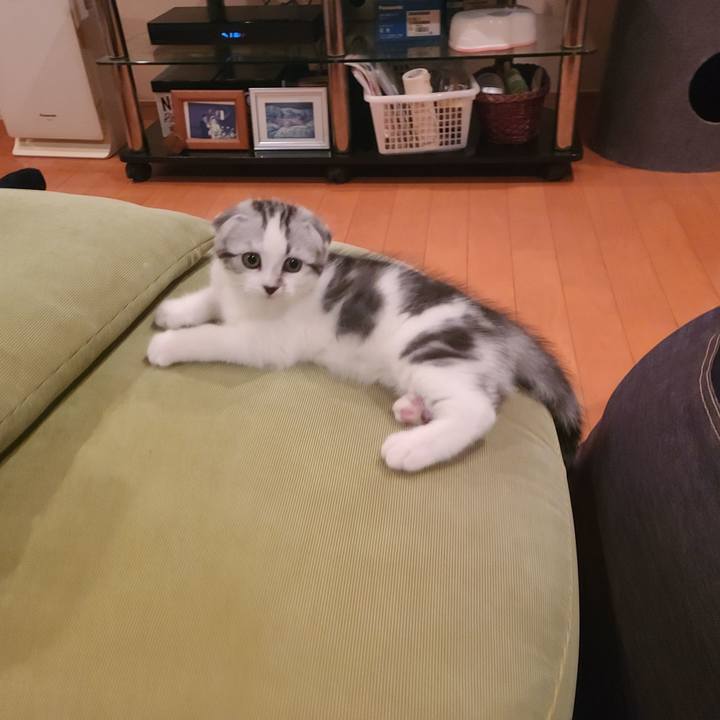 361e38dd abc5 4ca3 95e5 036c3957beed 1626166714809