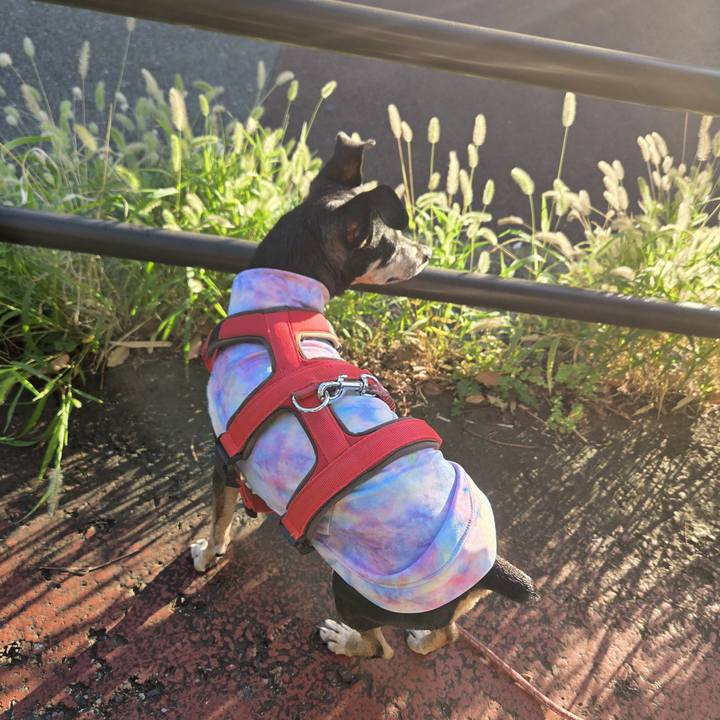 361e50fc ad14 4088 a82f a74a0a7ca4c7 1758752096931