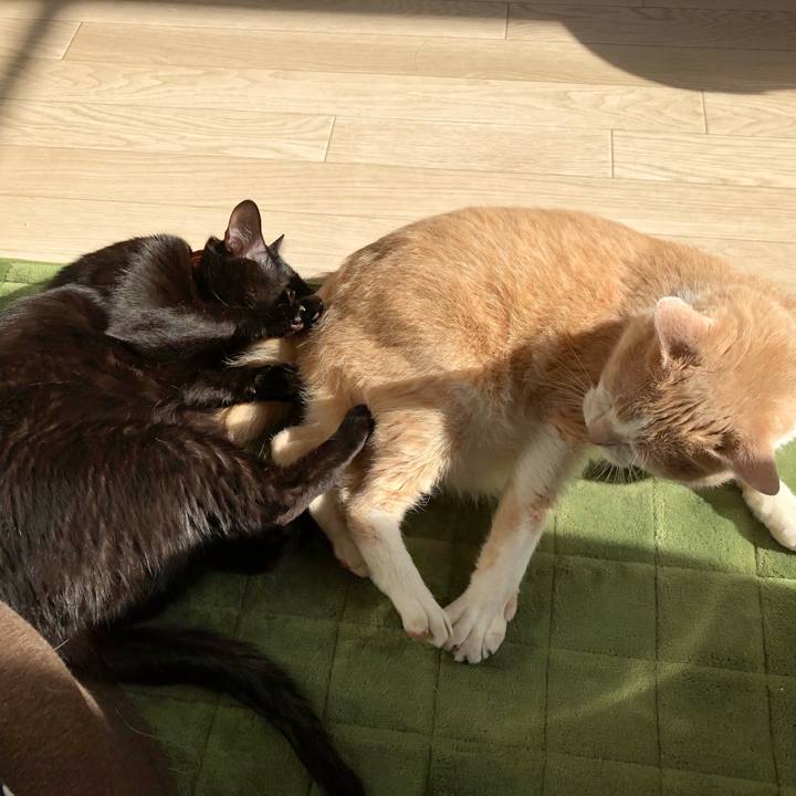 361e5cc3 794e 41cb 9ed4 ab6dc8cbf760 1525995531753