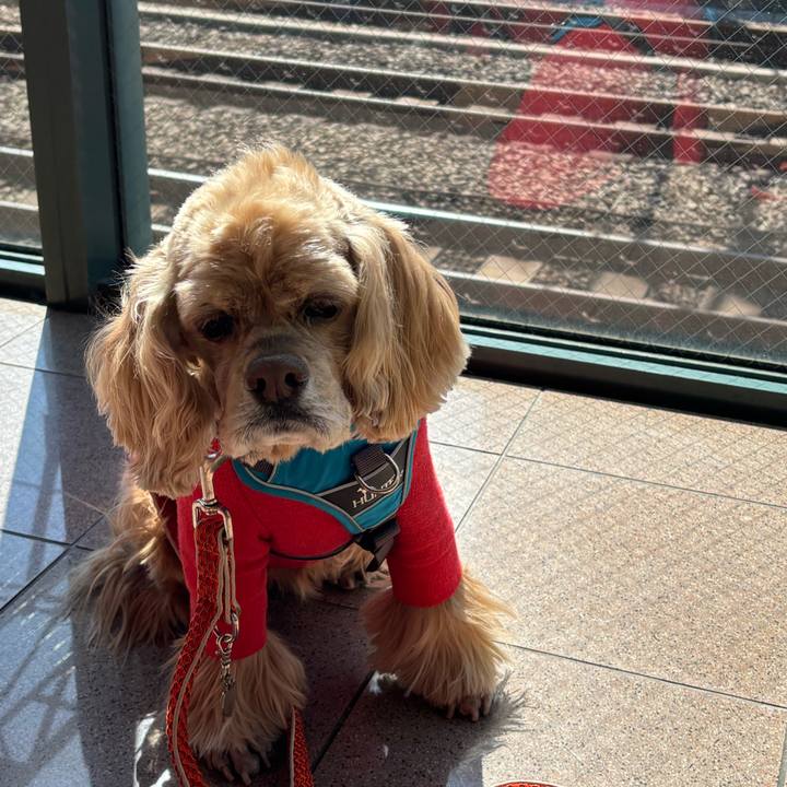 361e6b29 24e2 4c65 b2b0 4d4515479c01 1773319357494