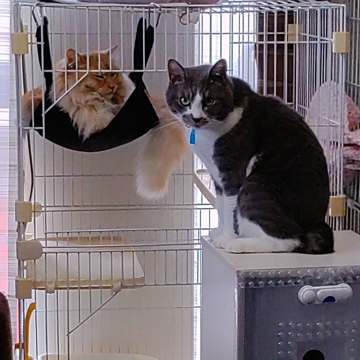 361e7238 4807 4f6c 8c65 ef2079d0d9f7 1715825378838