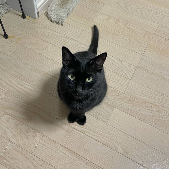 361e8816 d966 451e b276 e6d5d9e50961 1645321445525