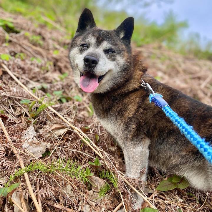 361e974b c3bb 45c2 8de0 99fc2d93df76 1714186167613