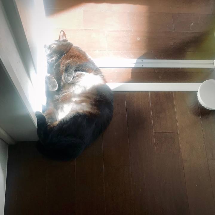 361e9ba7 c1ed 424c a5da dabacdaca8c8 1609048296515