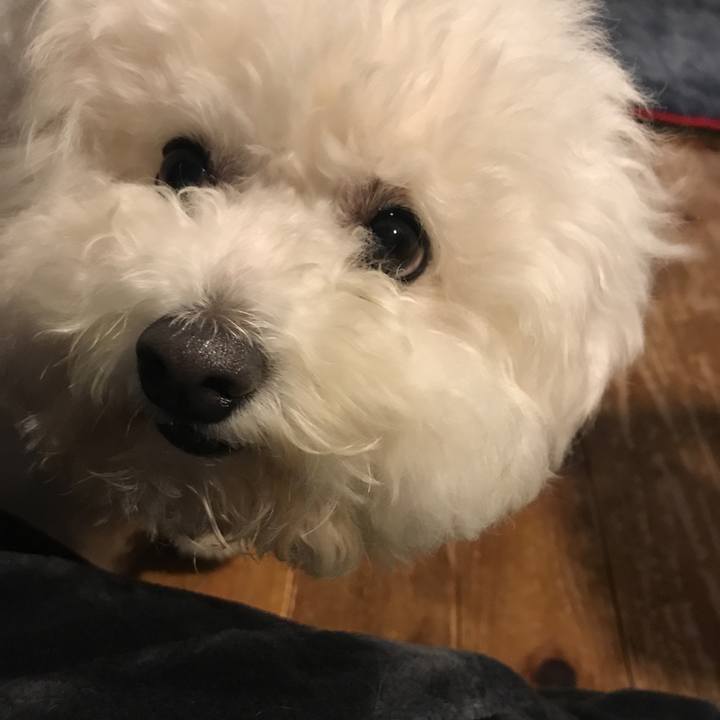 361ea3f8 952b 4b08 b1e3 45915d57e3ae 1551255264323