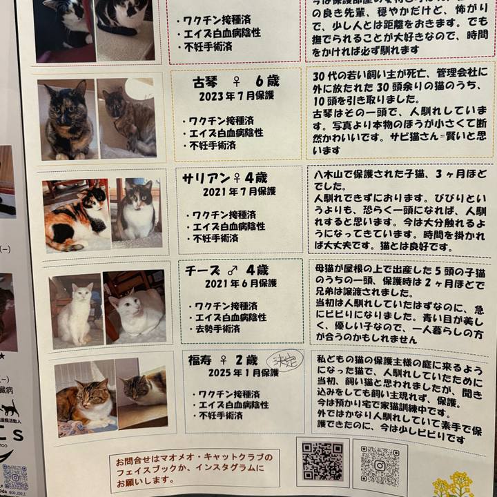 361ea3fc 3465 44e3 aec2 e3a58258158d 1761369667855