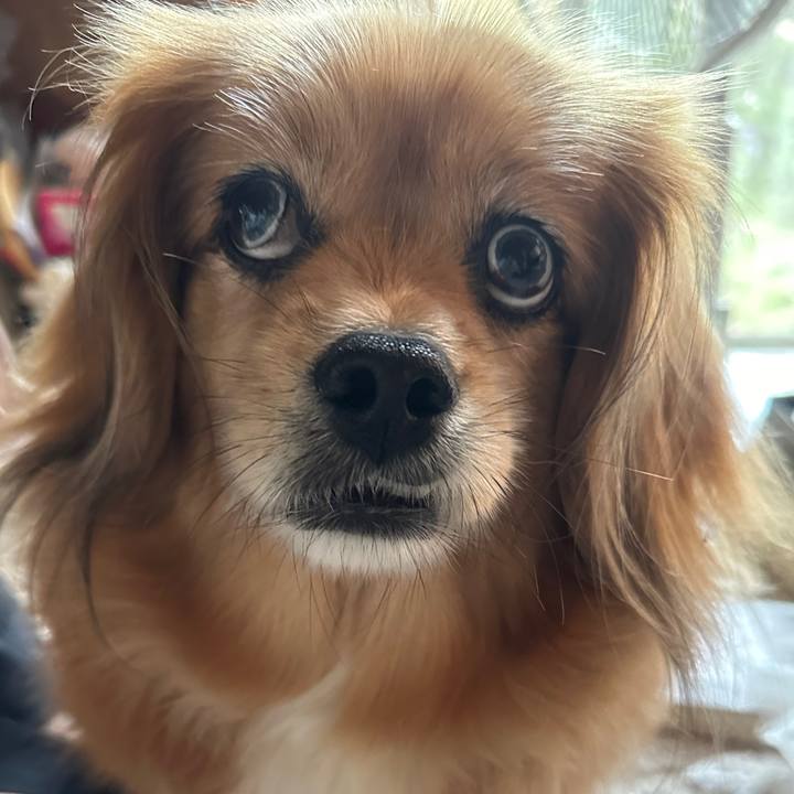 361eb622 9de4 4aa3 afe1 276012554566 1717362309248