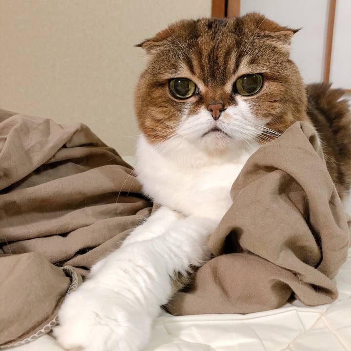 361ebfd8 eb4a 4f21 b513 082a6c6e0849 1601034182394