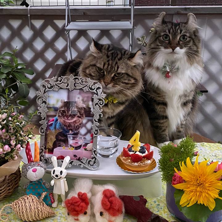 361eebd1 88e1 4e57 978b 1297d77d1304 1601043657628