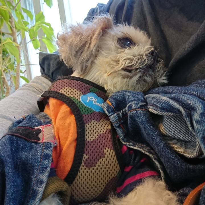 361f01d1 4c00 4f22 9ee0 f90f5c040c9a 1618838475171