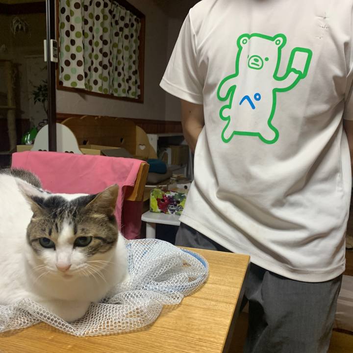 361f1a38 6988 4dde 9154 4b23547b0caa 1665875647201