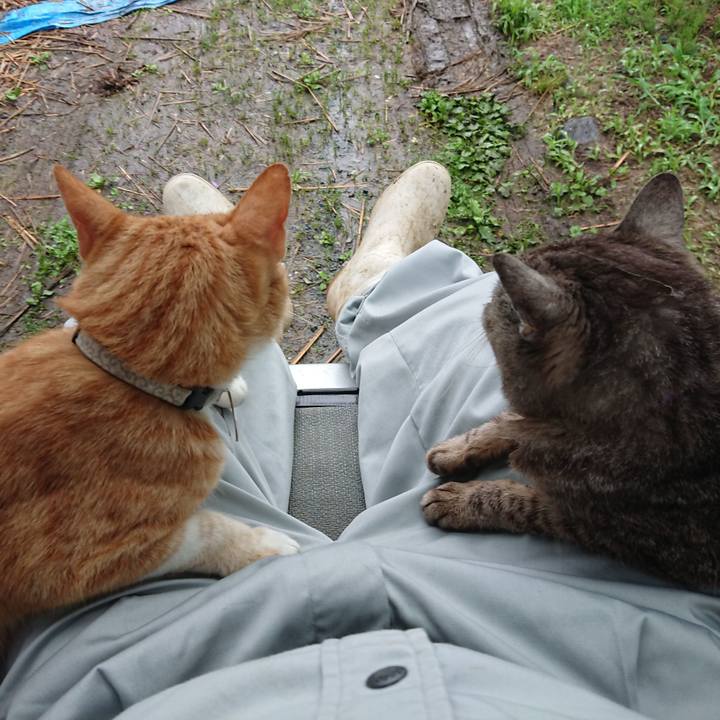 361f2233 ad6e 42a9 baf4 1d8566bebcde 1594372611042