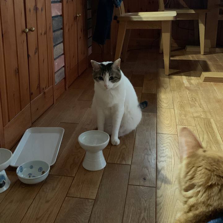 361f29da 13a1 45c1 9c99 8f74955a5338 1660943611017