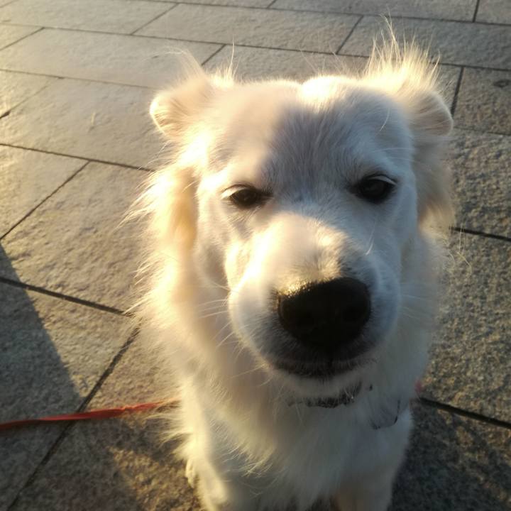 361f2a23 f094 4974 b1f0 3e32ff6880ad 1513727149481