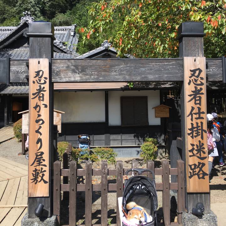 361f31a5 eaf8 4ae1 a9e6 17ba79f9b843 1570244610857