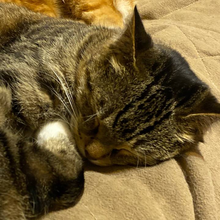 361f3741 1bef 4c97 87f8 ed40f24a92c2 1617106770152