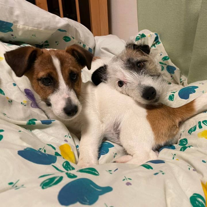 361f55d3 8423 48a4 bd18 21bba73b96b0 1620569212914