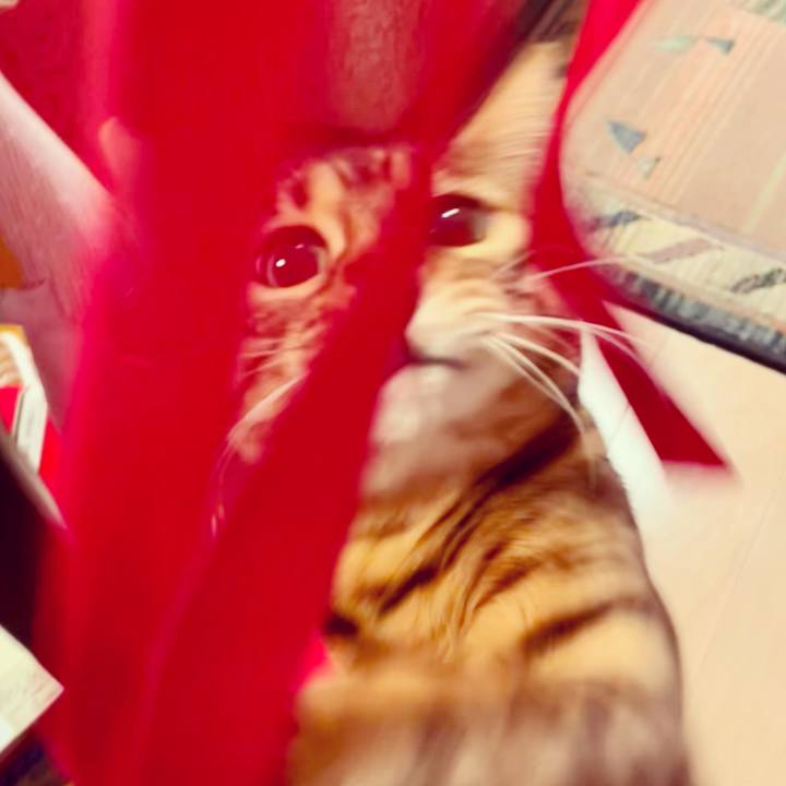 361f6b8c f6ea 414e 983f a11a9f293de8 1642633199894