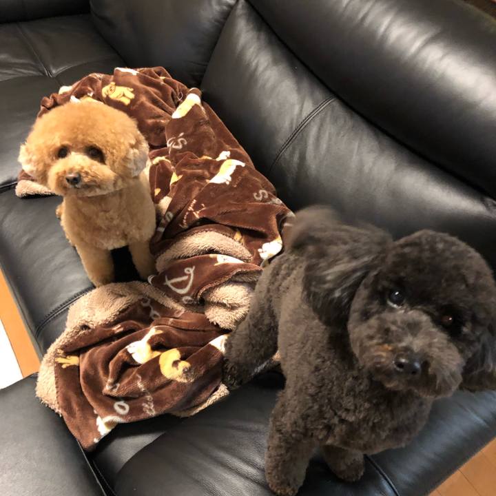 361fa11e 9d17 4cfc a1bc b9d589da54b5 1575631029199