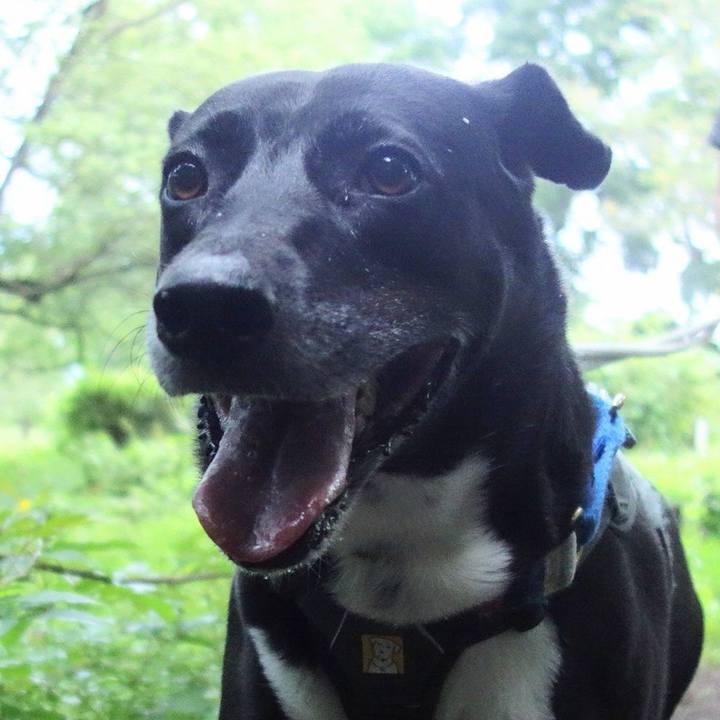 361fa1d1 f3cc 422d b556 4675379f54f0 1662855531081