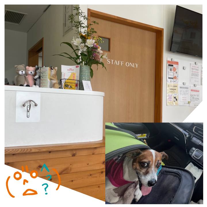 361fa3e9 e714 4fa1 9509 c4fea8784c77 1748680572179