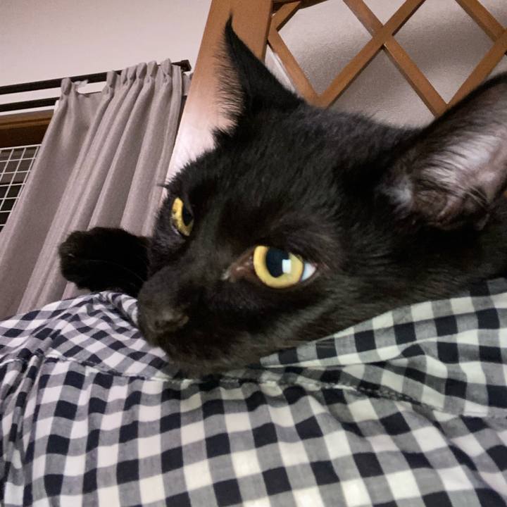 361fe1a0 9fd1 4292 9a9d bd7857be1f9e 1626175590184