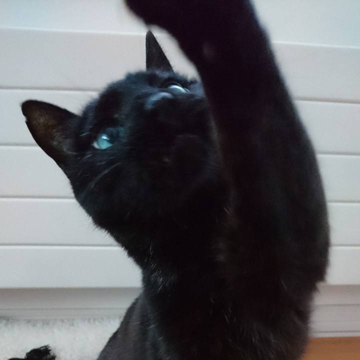 362037fc 888a 4cba 8db6 52719fef1f49 1548915497311