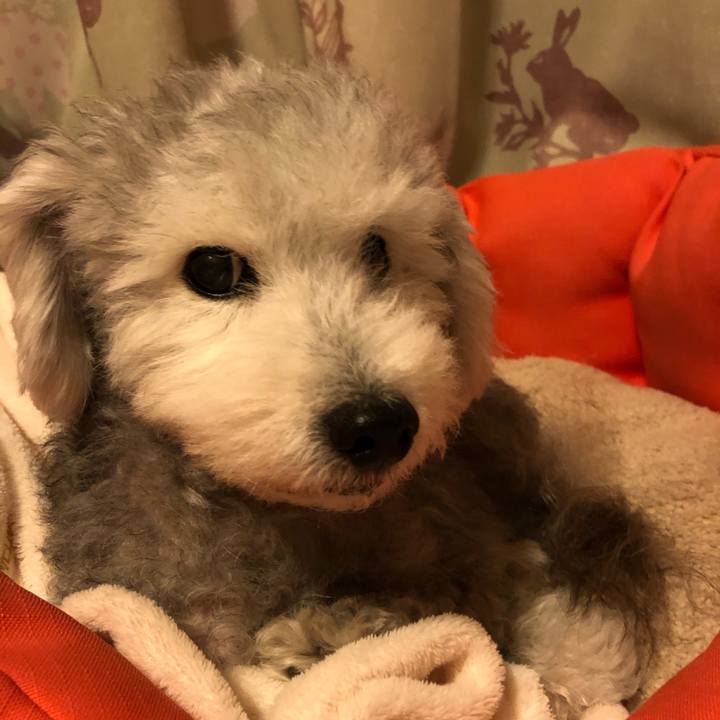 36204766 4bb6 4ca5 9c5d 56b3a3197997 1602117346561