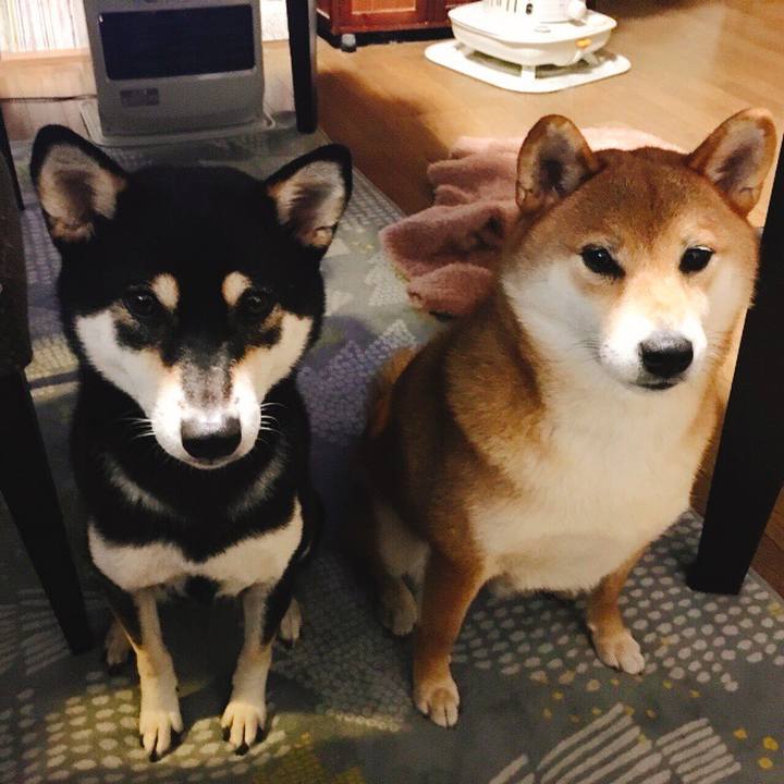 3620602a 7949 4e58 bc2b 628ea612ec83 1540049665095