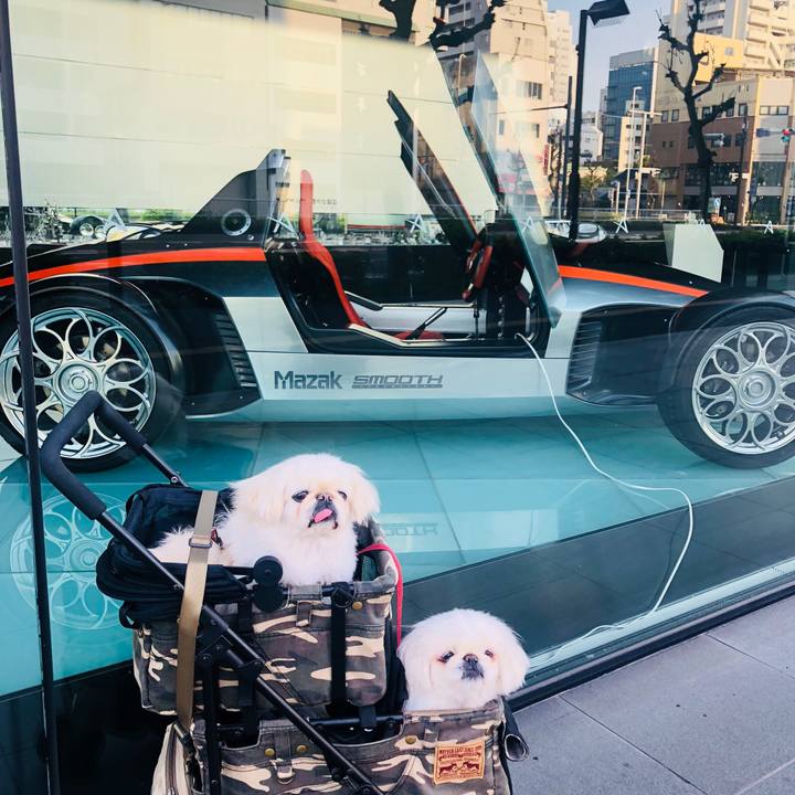 362078d3 d73e 4f38 9d8e 4c3d4f8bead5 1587853138064