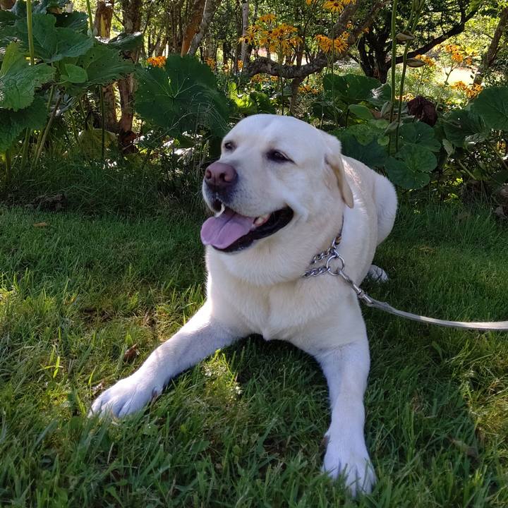 3620878a f91e 4720 9a16 c8d203e28ba7 1597536750768