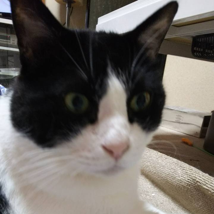 36208a89 643f 4359 a553 d37fbf5f79d9 1529969415206