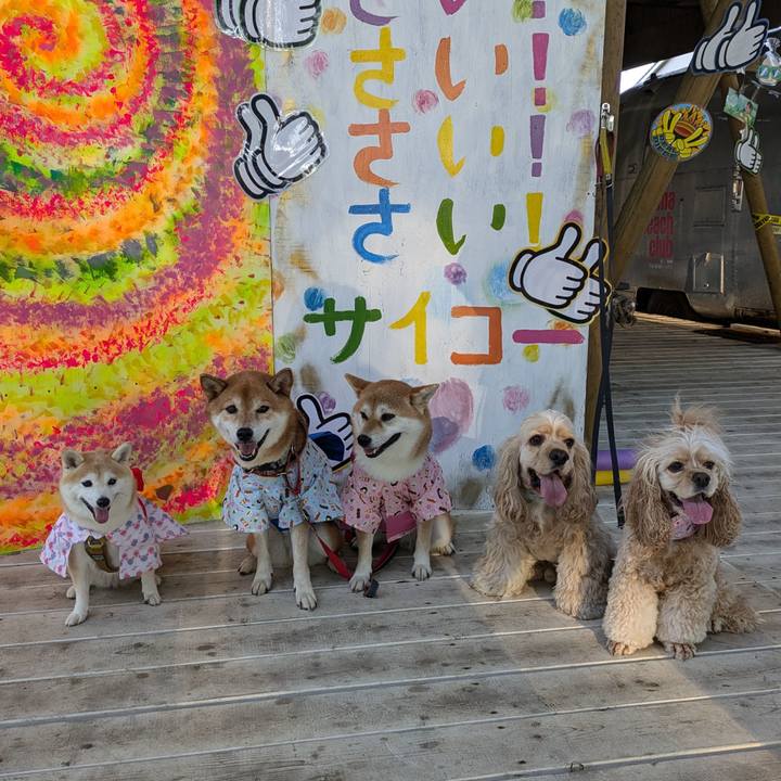 3620a42d a95b 4245 a397 1cc25cdd585a 1722524967528