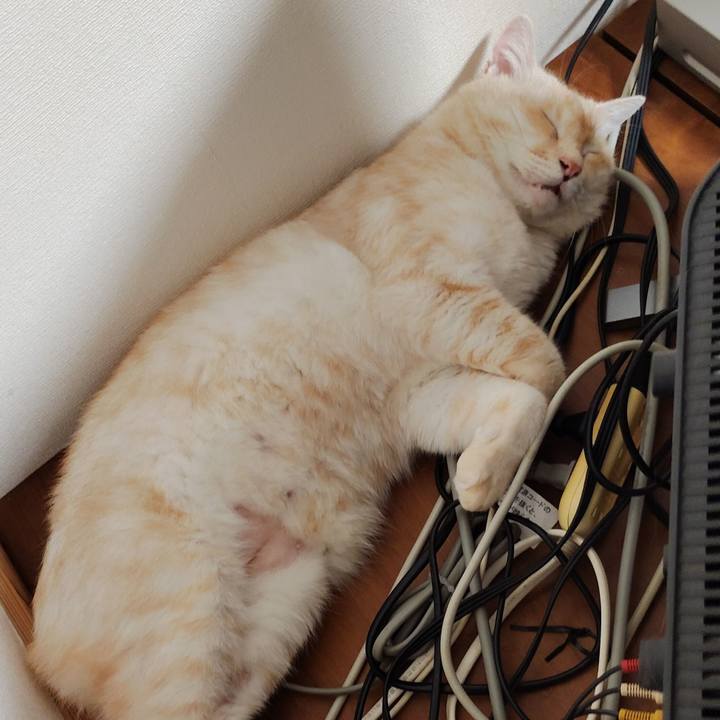 3620b683 10b9 4b41 91f3 3964c9e6f59c 1752618856383