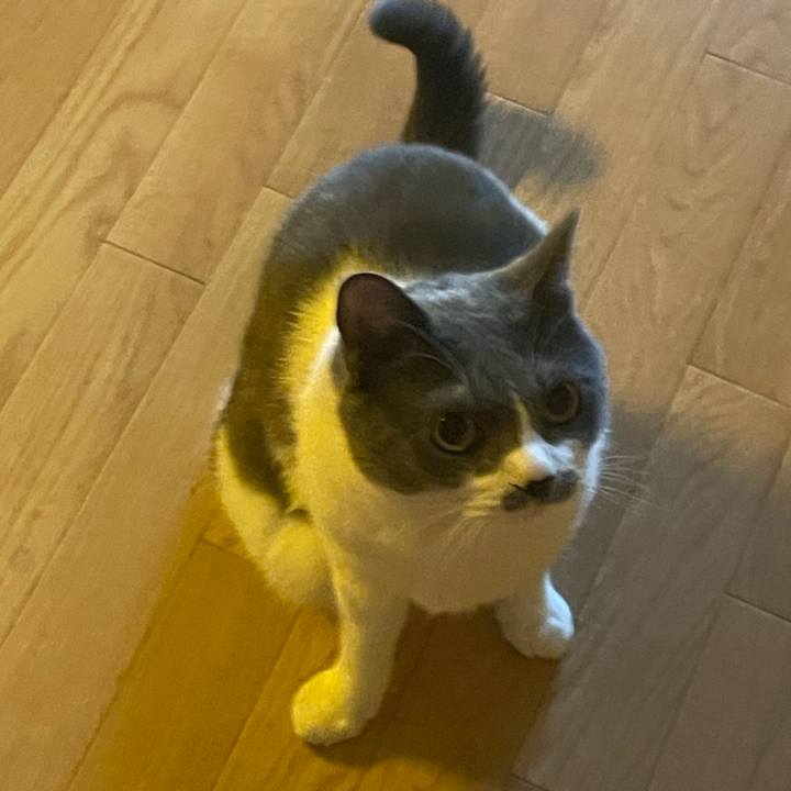 3620b7c6 804e 4445 b204 69fe2e86f5bd 1755125924525