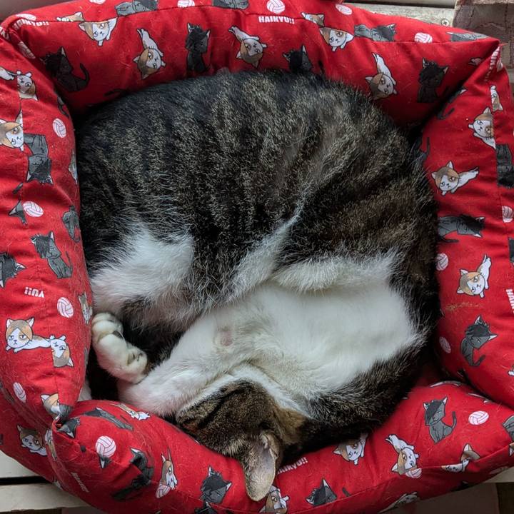 3620f93a edf7 45a1 b8a7 3324f10e4f40 1757082892426