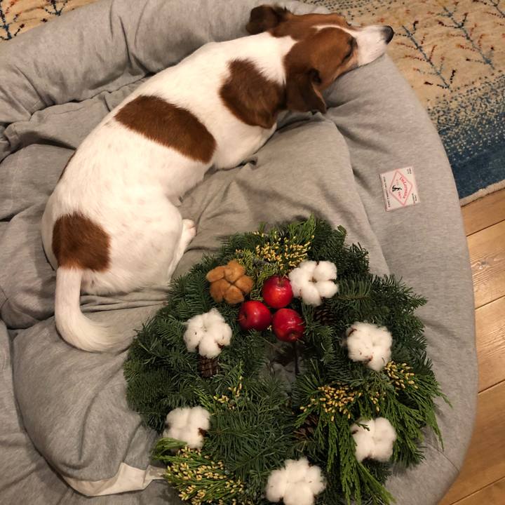 3620fbe9 79e0 427e 99ff 17fce5ada258 1604921356153