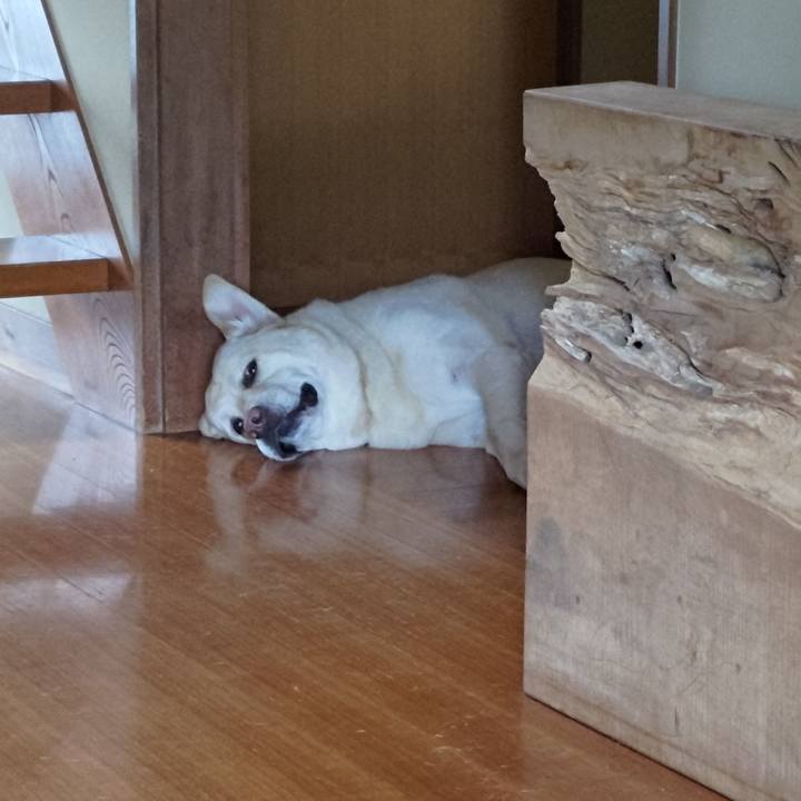 362135a3 5e40 4ceb 8552 63ec79c7220f 1687227444460