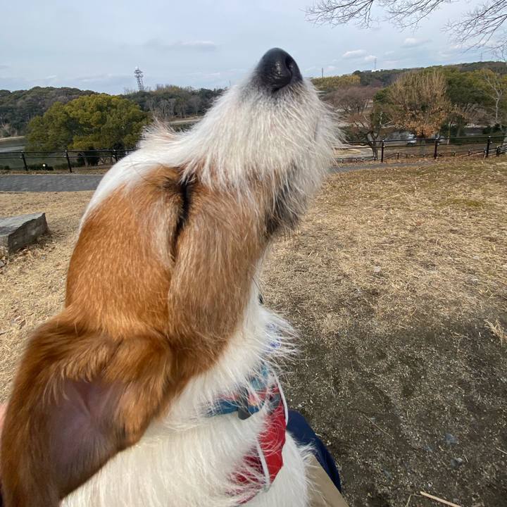 362151f9 c83c 4e05 a394 4d412d50e716 1739691890488