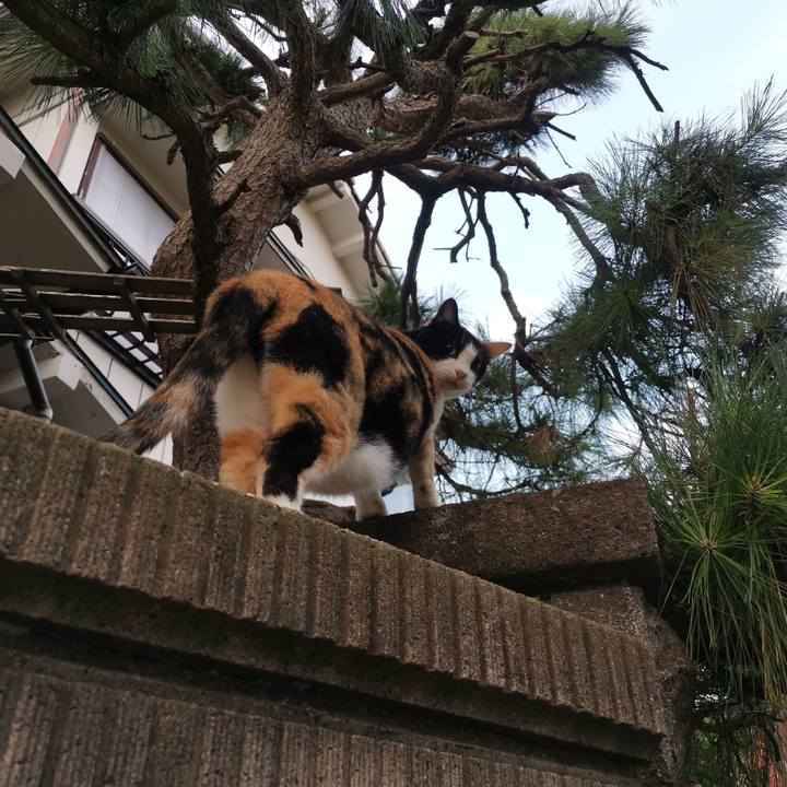 36218dbb 52e8 4199 96f0 3f7c1f6278ba 1569762532188